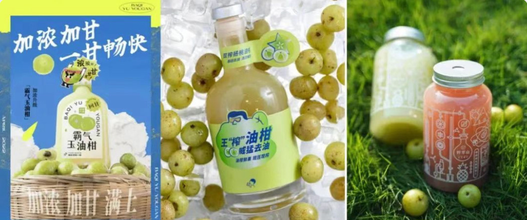 解困功能草本，捕捉國潮養(yǎng)生浪潮